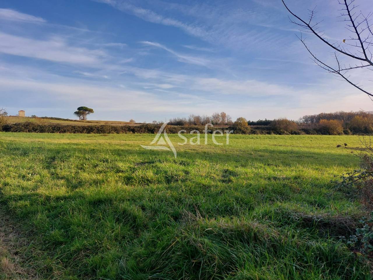 Propriété agricole avec 2 maisons et étang