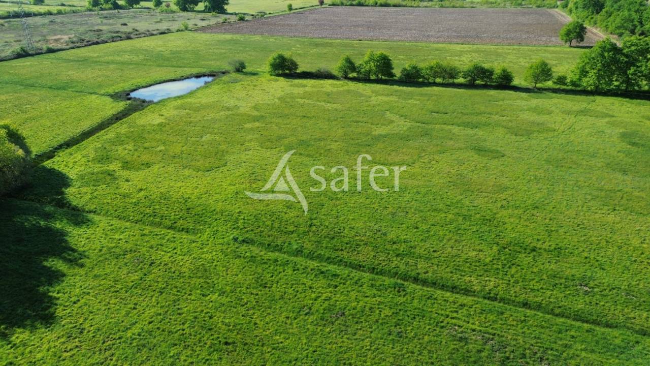 Propri&eacute;t&eacute; b&acirc;tie avec 3 logements sur 31ha de pr&eacute;s et bois