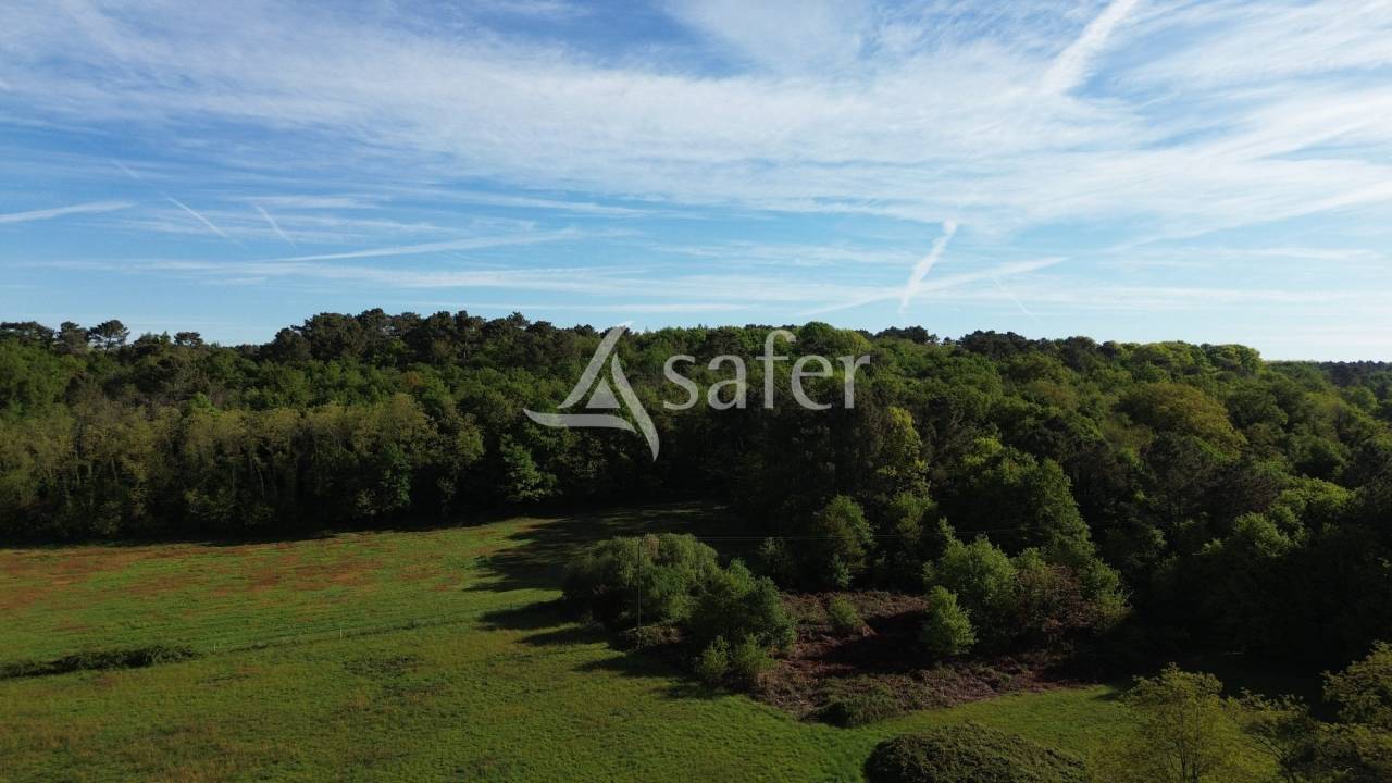 Propri&eacute;t&eacute; b&acirc;tie avec 3 logements sur 31ha de pr&eacute;s et bois