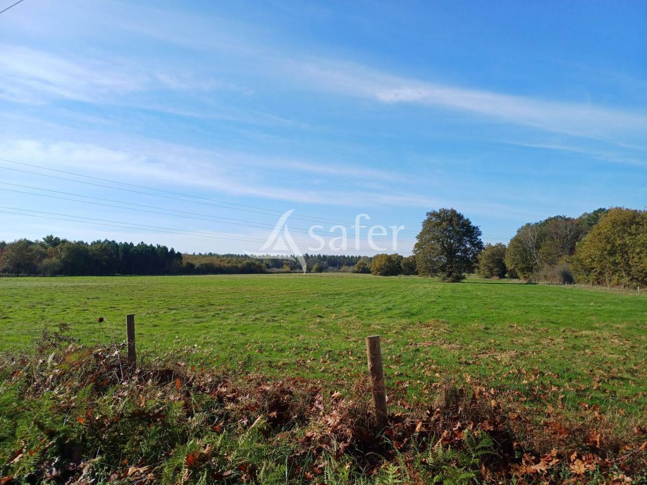 Propri&eacute;t&eacute; b&acirc;tie avec 3 logements sur 31ha de pr&eacute;s et bois