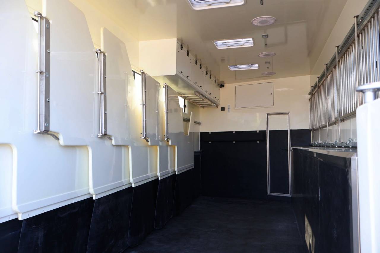 MAN TGS 26.430 PAILLARD 8 CHEVAUX POP-OUT NEUF-VENDU