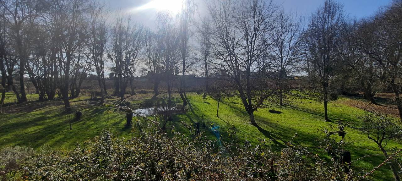 Élégante demeure au cœur d'un parc arboré de 8.700 m²