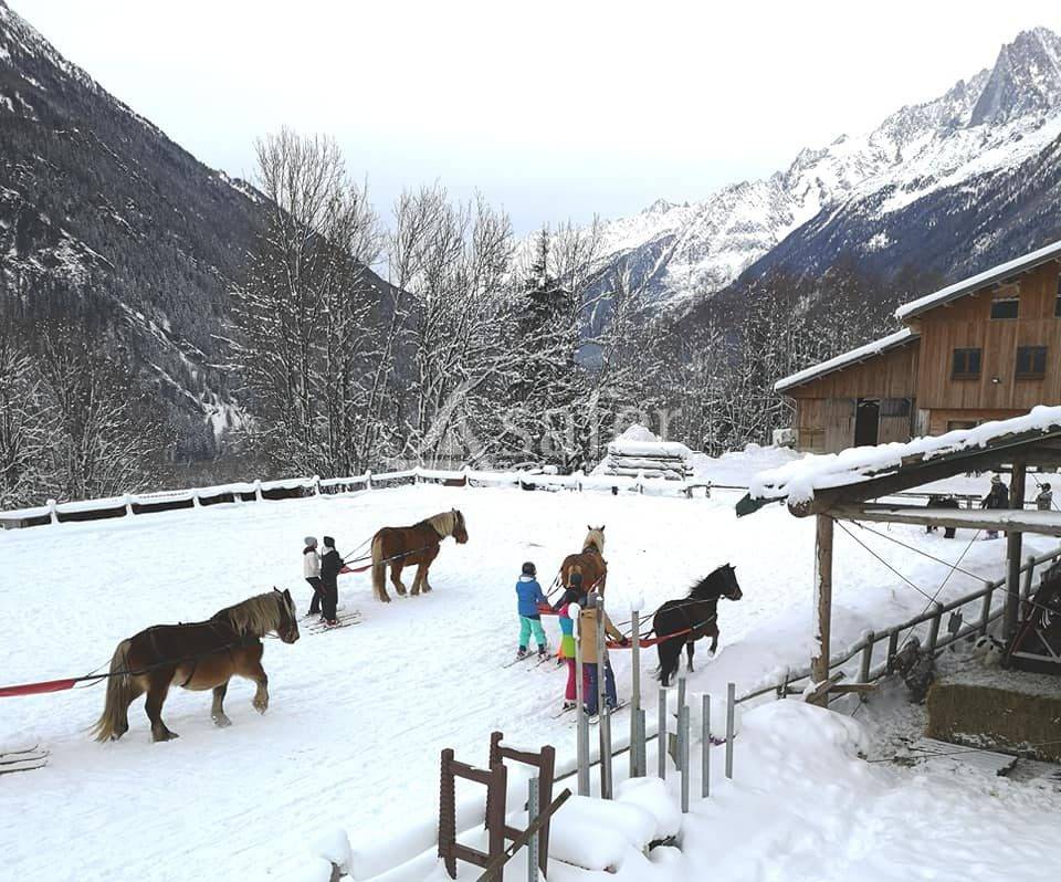 Centre équestre - Vallée de Chamonix