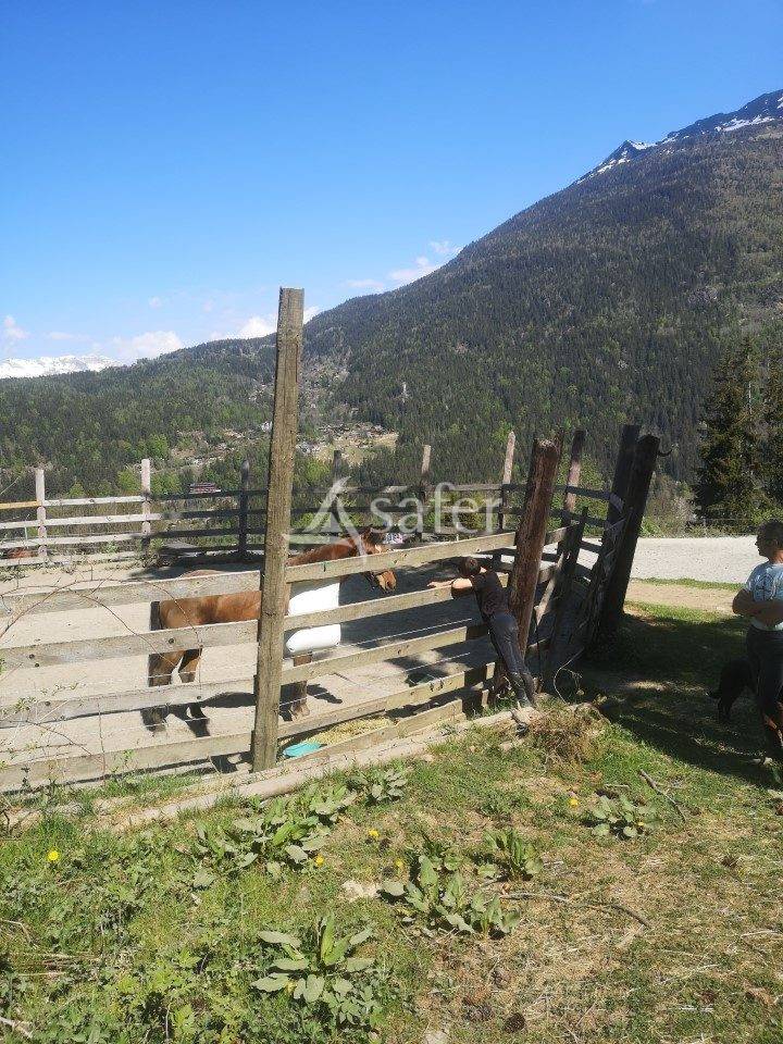 Centre équestre - Vallée de Chamonix