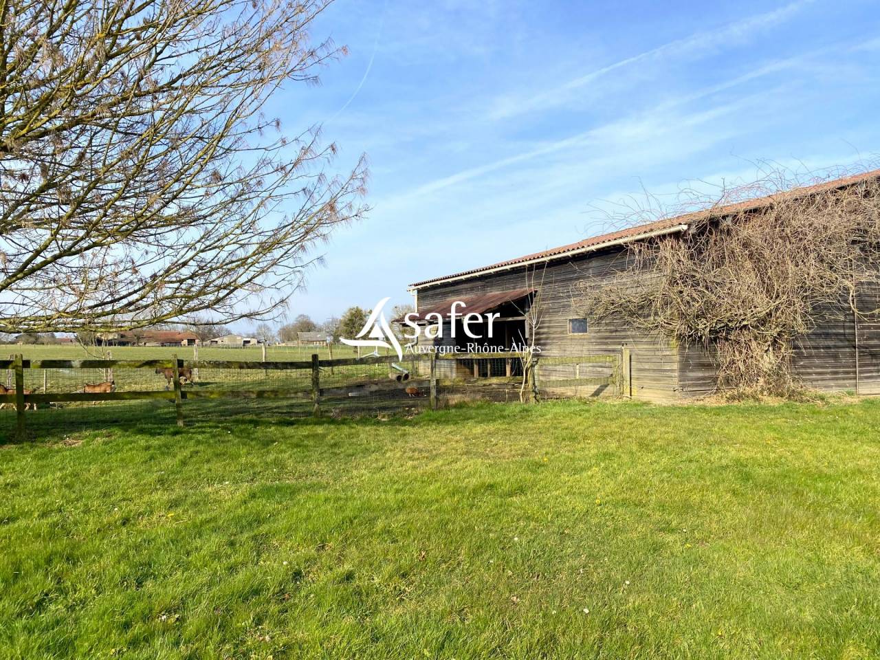 Propri&eacute;t&eacute; rurale - Illiat