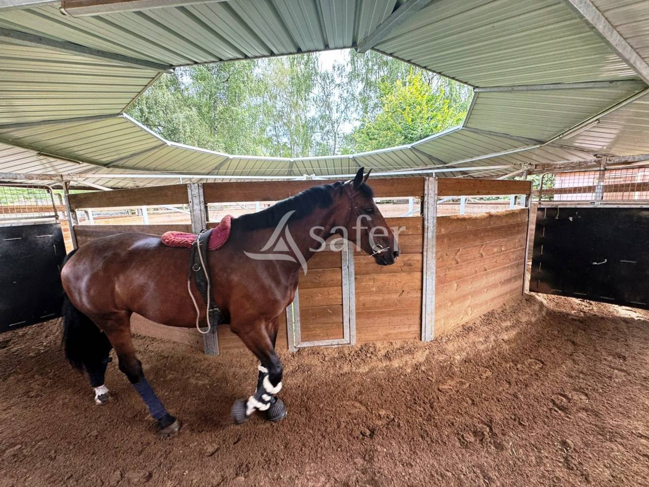 Ecurie de propriétaires à l'orée de la forêt de Fontaineblea