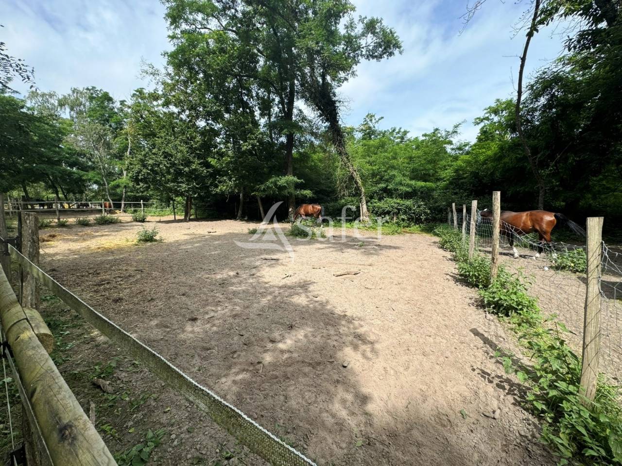 Ecurie de propriétaires à l'orée de la forêt de Fontaineblea