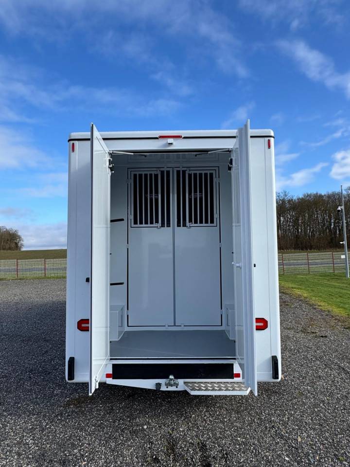 Renault Master TBST stalle 3 - VENDU