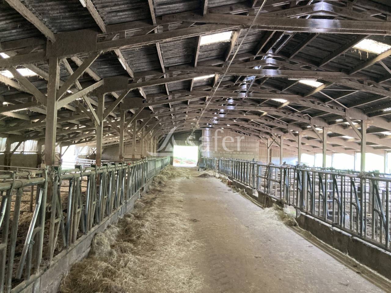 Terrain de 4,4 ha avec b&acirc;timents agricoles de 3400 m&sup2; - Dompie