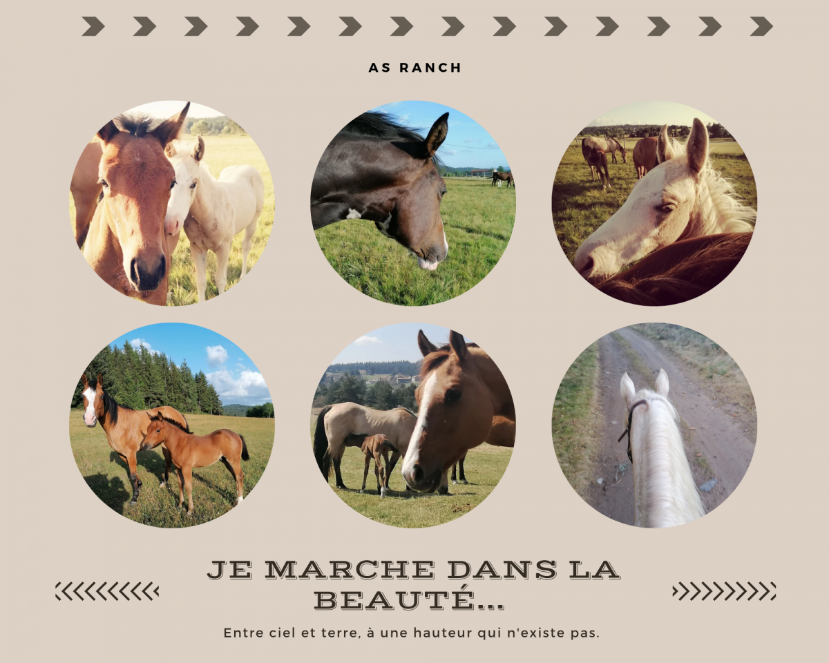 Connexion et complicité