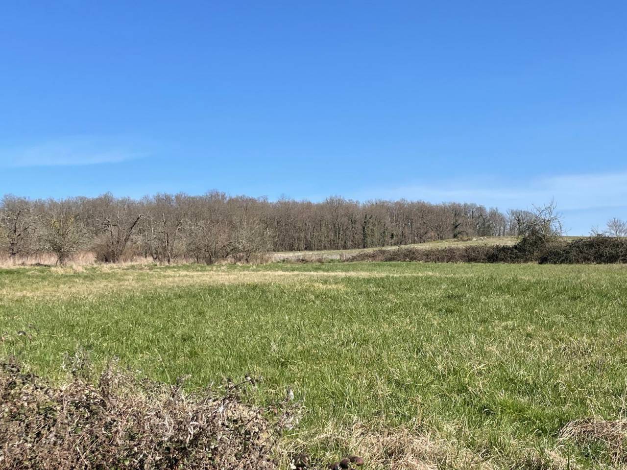 Propriété sur 9,5 ha idéale chevaux et gîte - Périgord