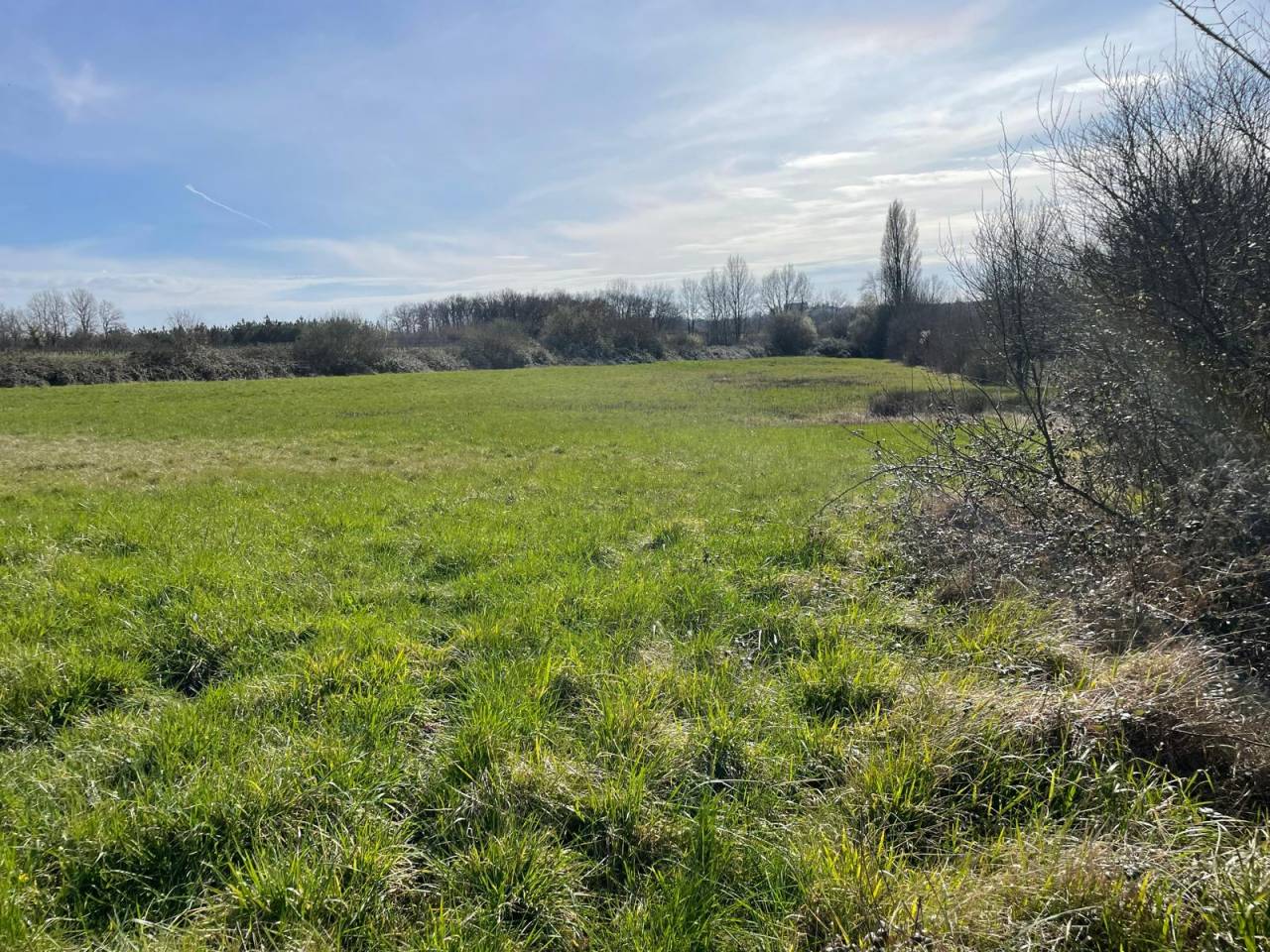 Propriété sur 9,5 ha idéale chevaux et gîte - Périgord
