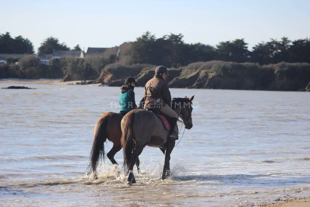 Haras haut de gamme &agrave; 5 min des plages - Un cadre unique pour