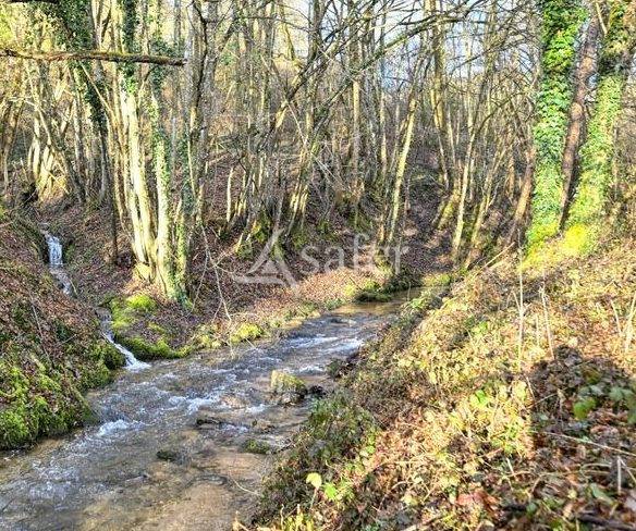 FERME TRADITIONELLE - THURINS