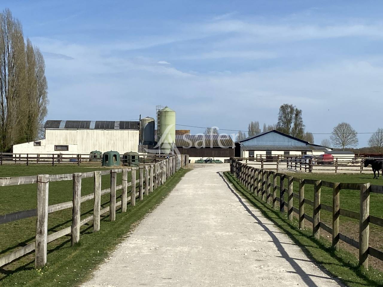 Haras d'élevage 77 hectares