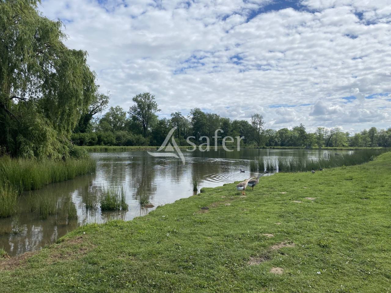 Propriété équestre - Secteur Mâcon et Villefranche sur Saôn