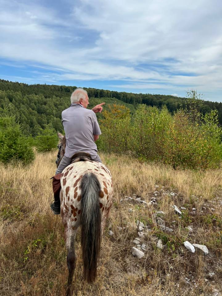 Balades à cheval au fil de la Semois