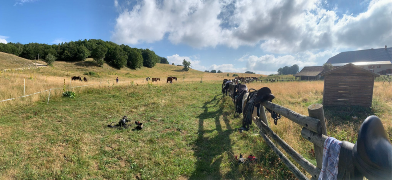 Magnifique randonn&eacute;e sur le plateau du Retord 01200