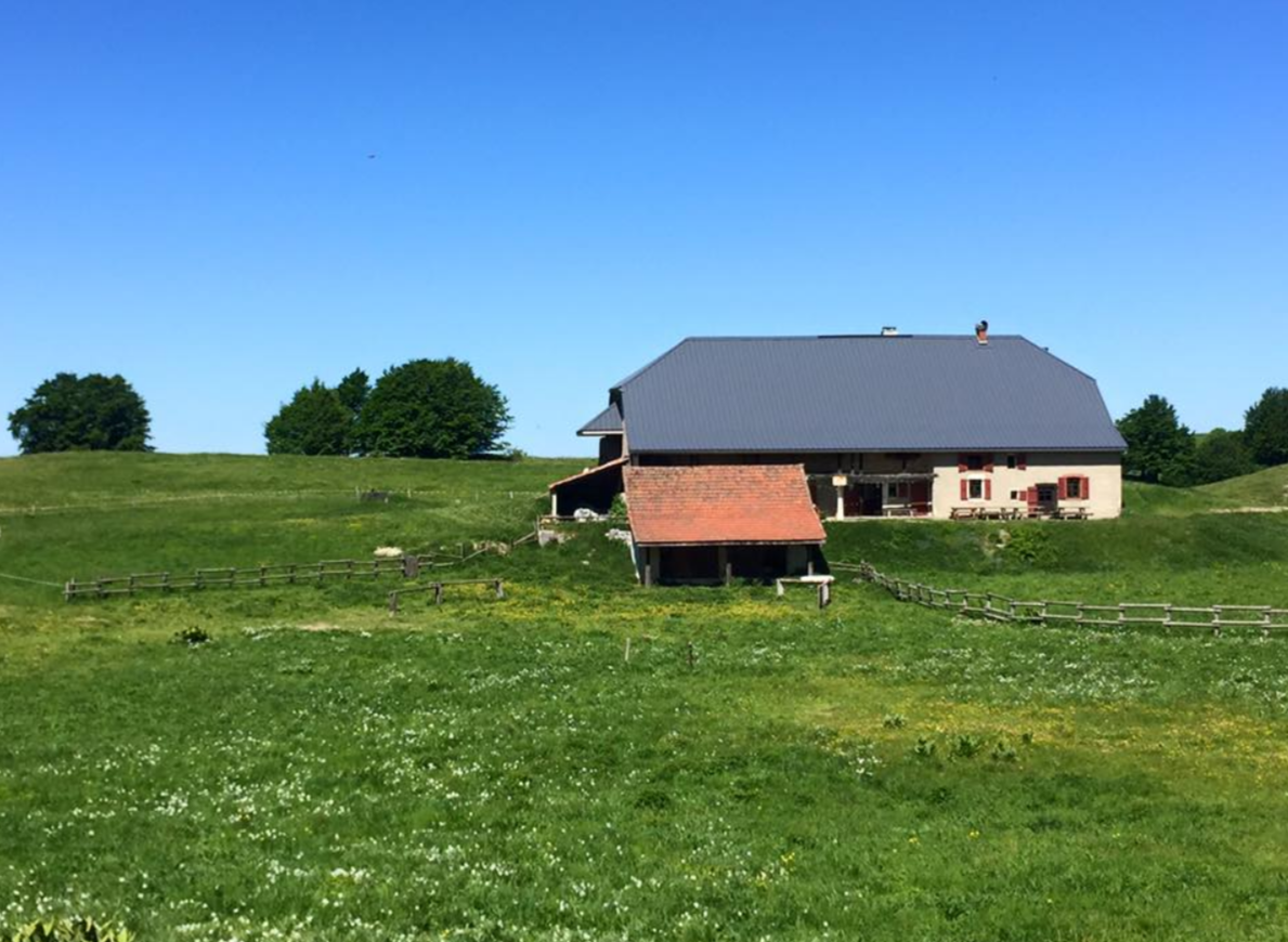 Magnifique randonn&eacute;e sur le plateau du Retord 01200