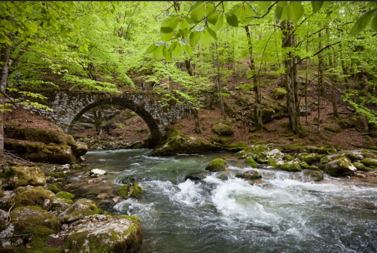 Magnifique randonn&eacute;e sur le plateau du Retord 01200