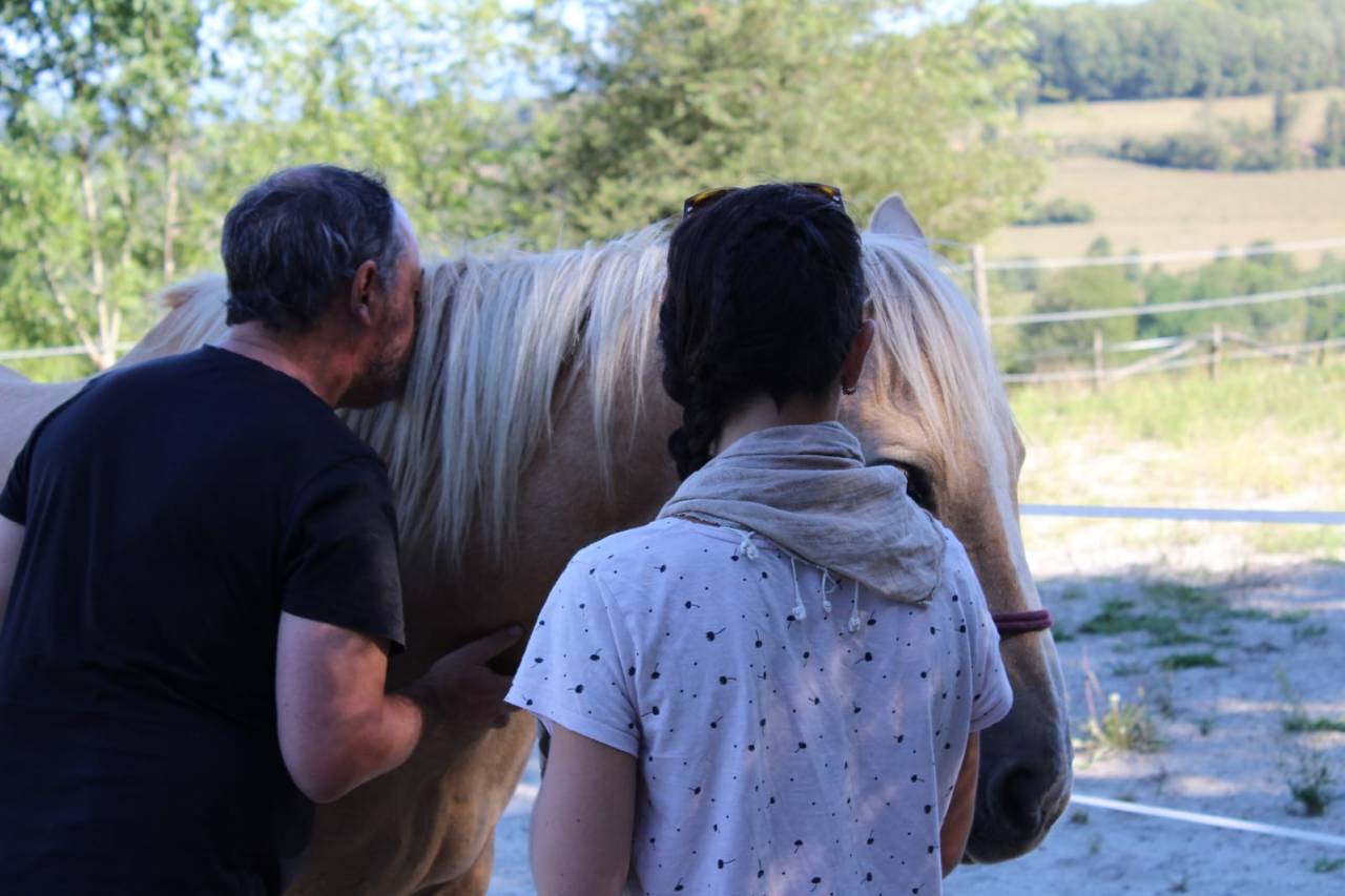 Formation Equithérapeute (31j sur un an)