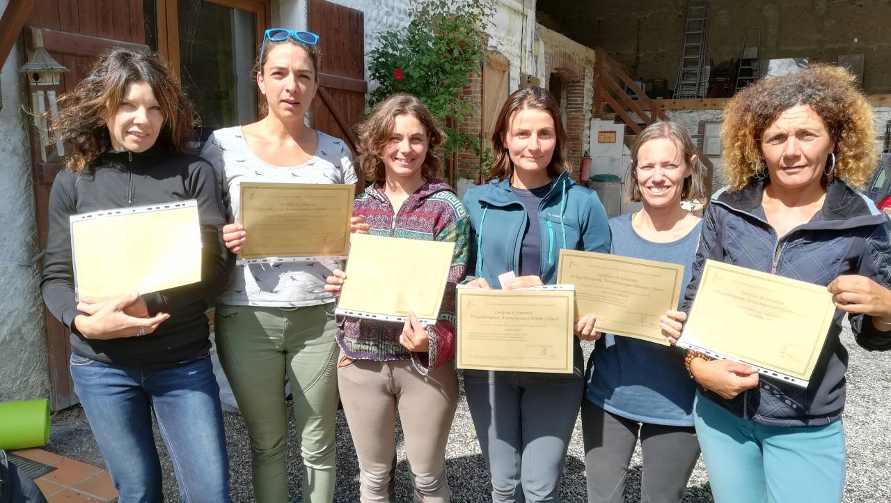 Formation Equithérapeute (31j sur un an)
