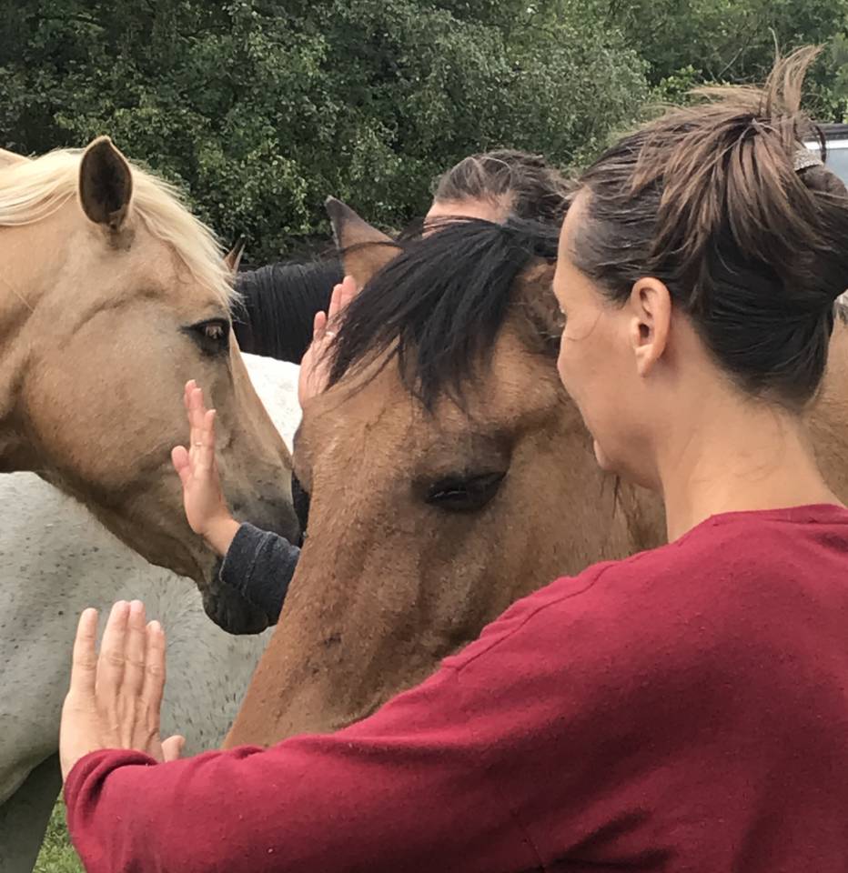 Formation Equithérapeute (31j sur un an)