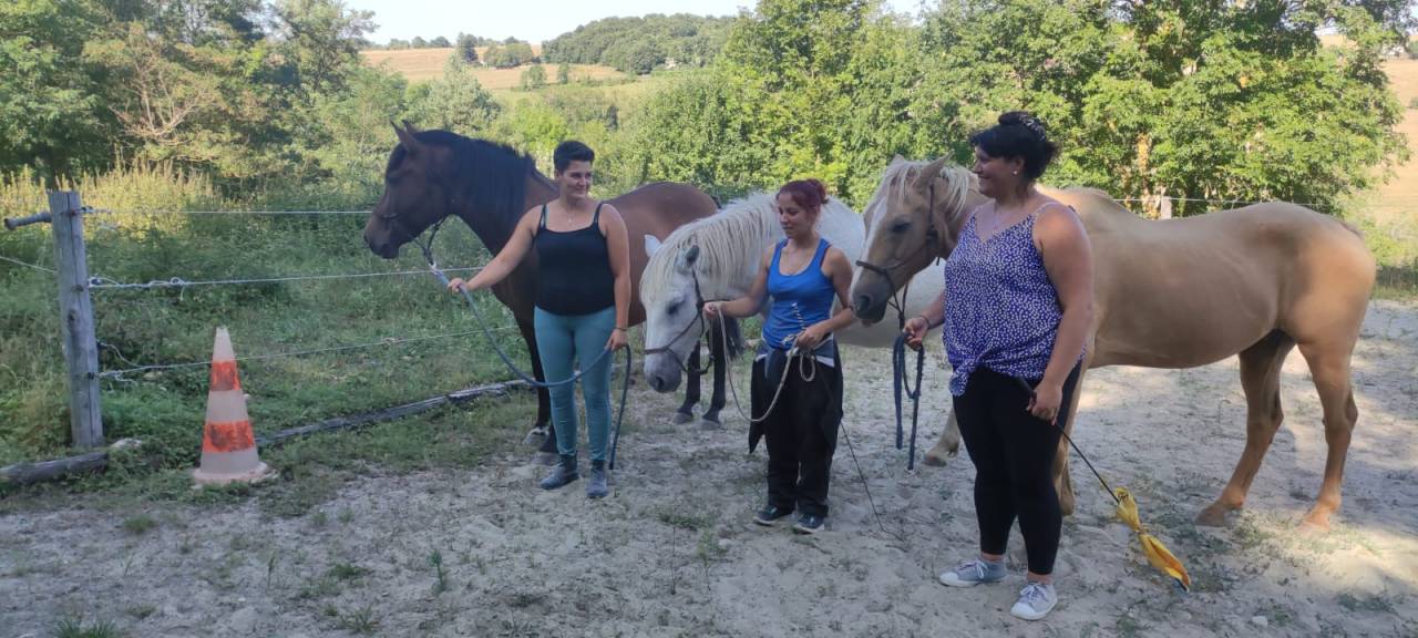 Le cheval thérapeute