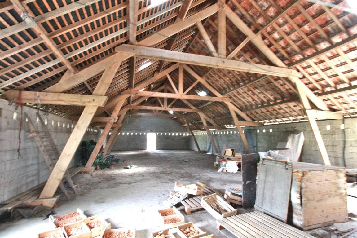 Écurie d'élevage en bordure de mer sur 21ha