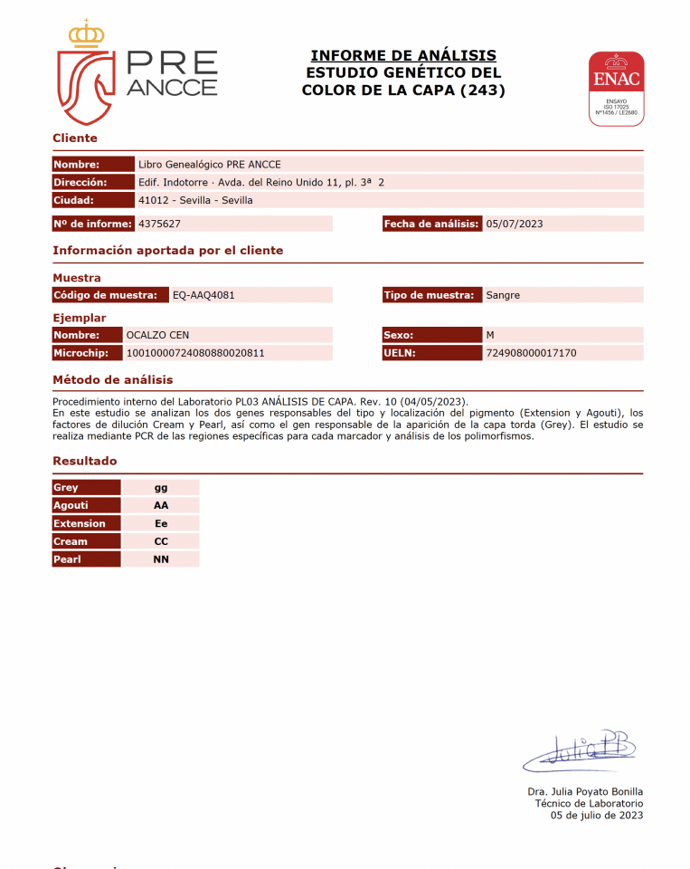 OCALZO CEN - PRE Pure Race Espagnole 2010 par JORDAN DE CENTURION