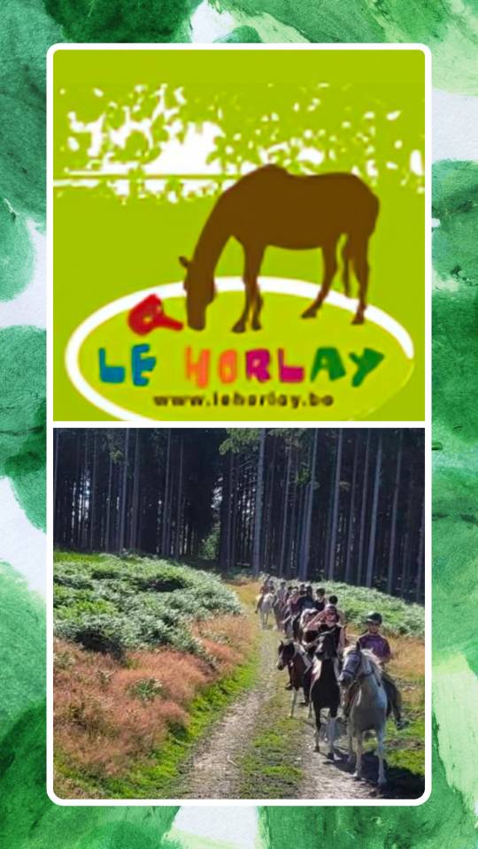 Stages d'équitation, théâtre et cinéma pour les enfants