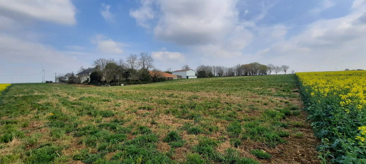 Propriété idéale chevaux- 2,2 ha – 10 mn FONTENAY LE C.