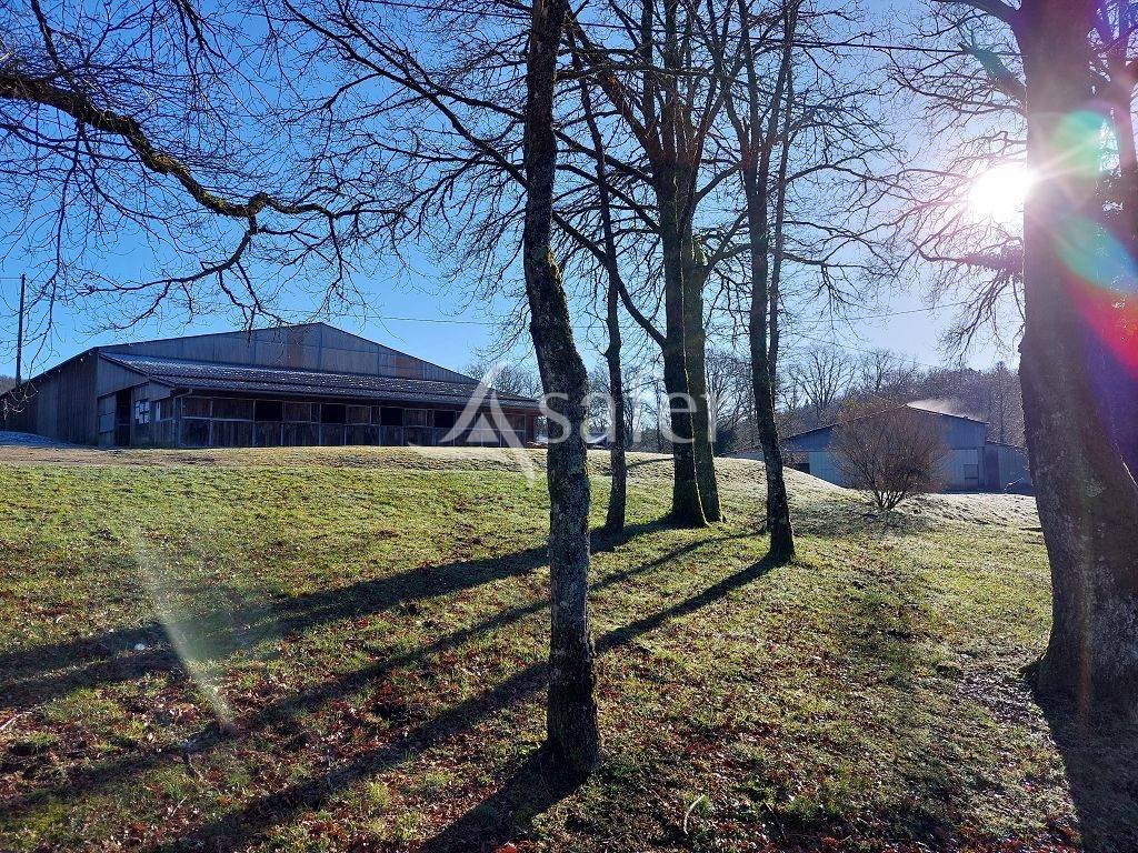 Au nord de Limoges, structure équestre avec gîtes de groupes