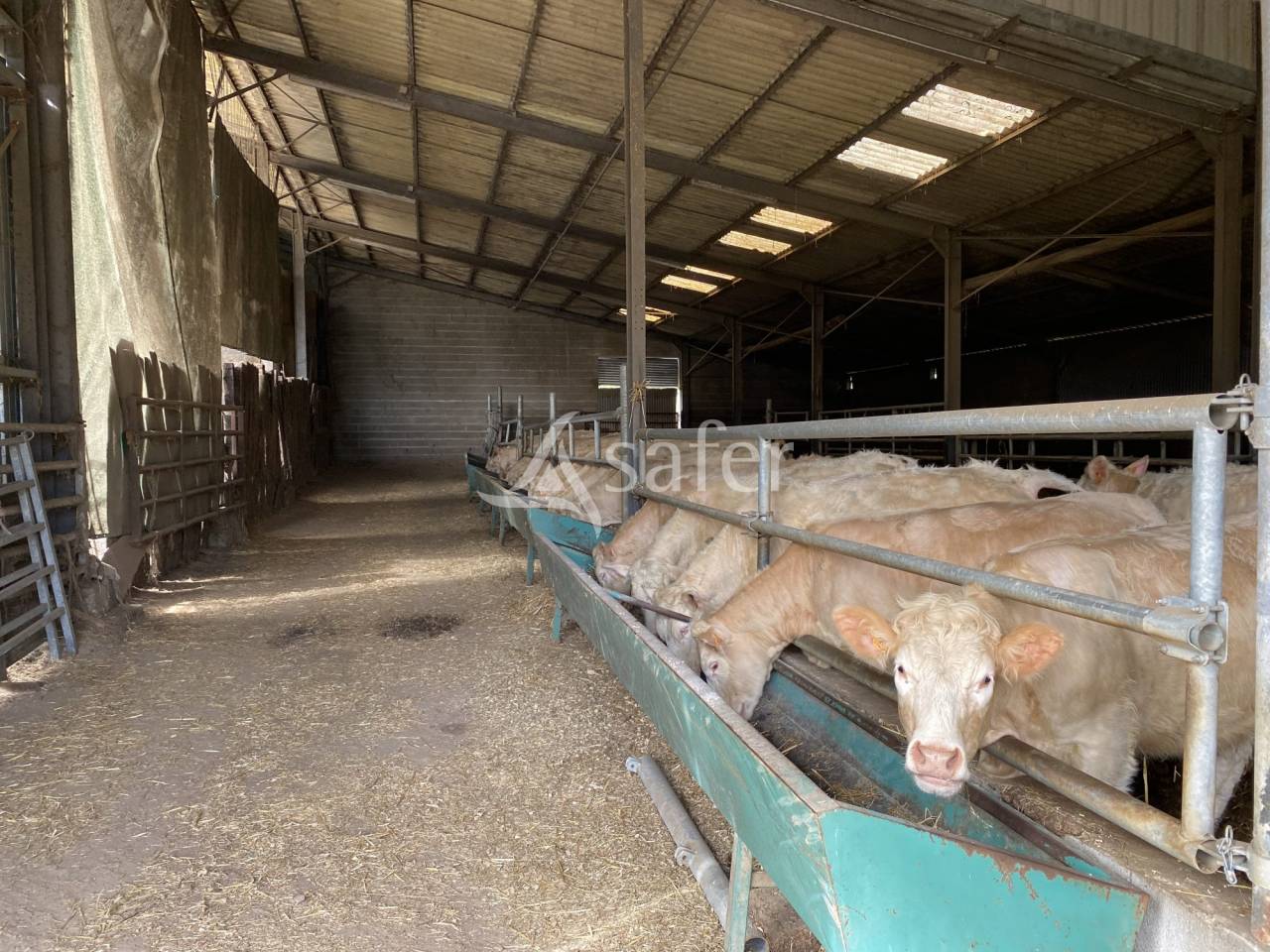 Propriété agricole de 20ha idéale pour une activité d'éle