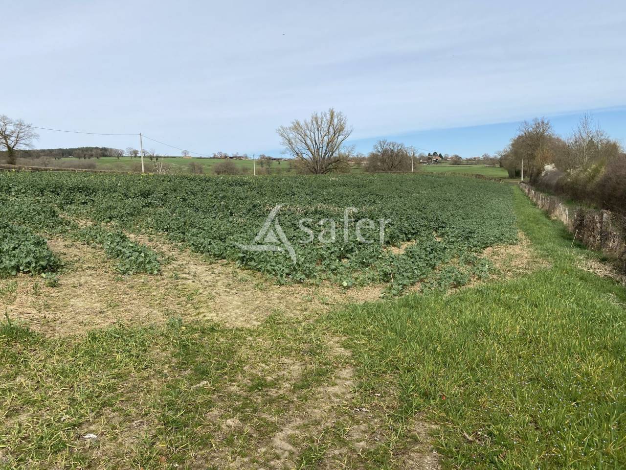 Propri&eacute;t&eacute; agricole, &eacute;levage (bovins, ovins, &eacute;quin) - Secteur