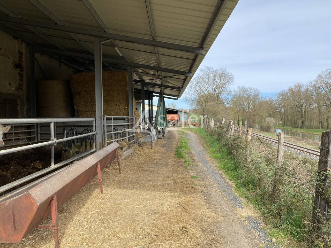 Propri&eacute;t&eacute; agricole, &eacute;levage (bovins, ovins, &eacute;quin) - Secteur
