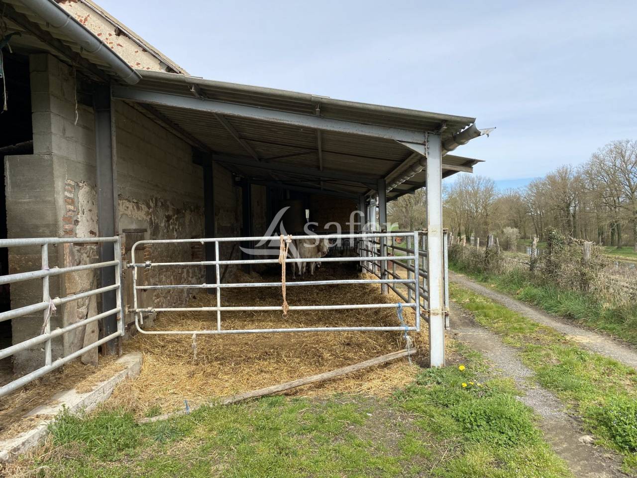Propri&eacute;t&eacute; agricole, &eacute;levage (bovins, ovins, &eacute;quin) - Secteur