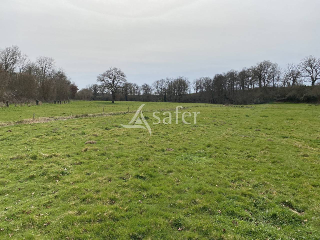 Propri&eacute;t&eacute; agricole, &eacute;levage (bovins, ovins, &eacute;quin) - Secteur