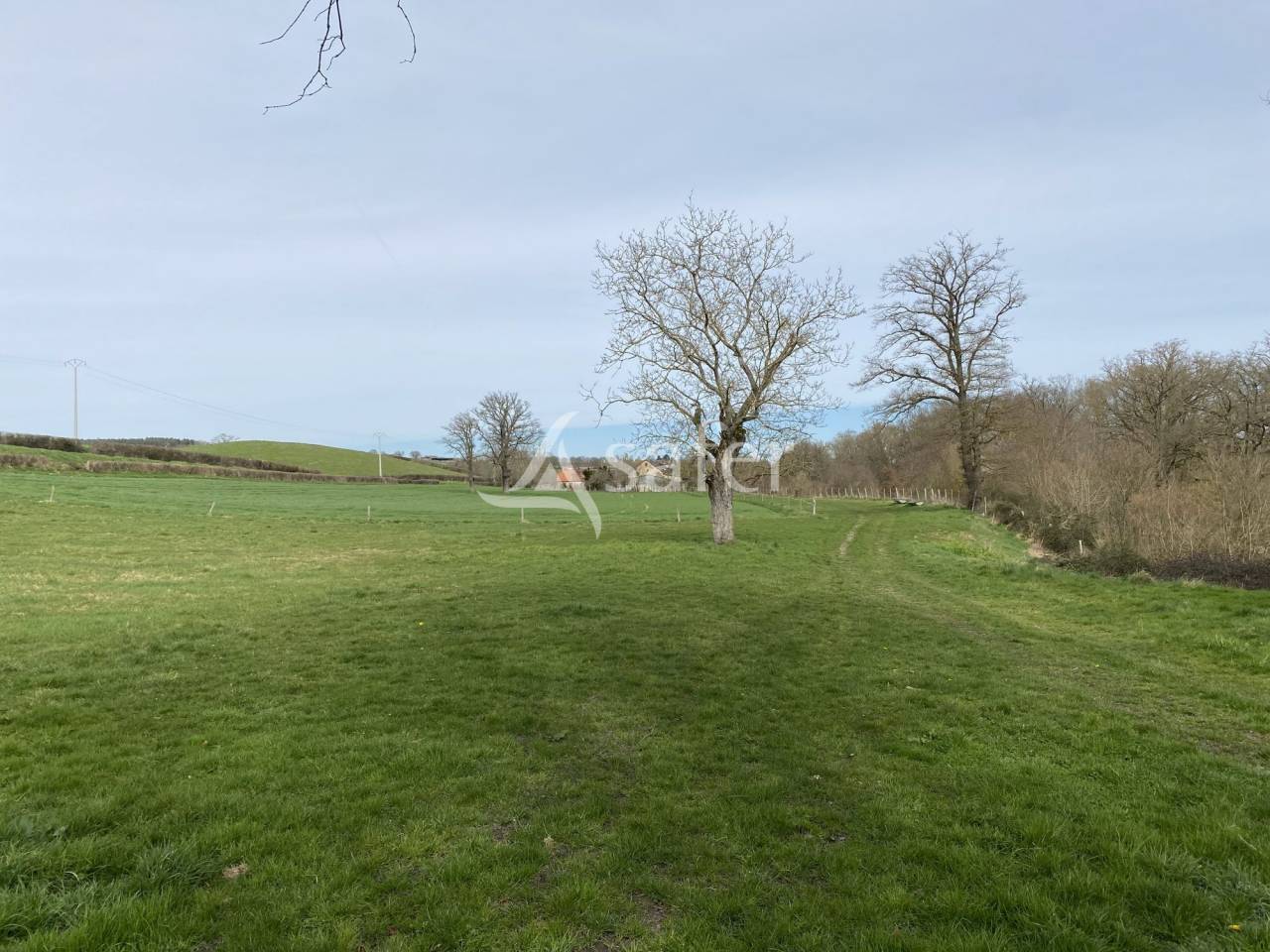Propri&eacute;t&eacute; agricole, &eacute;levage (bovins, ovins, &eacute;quin) - Secteur