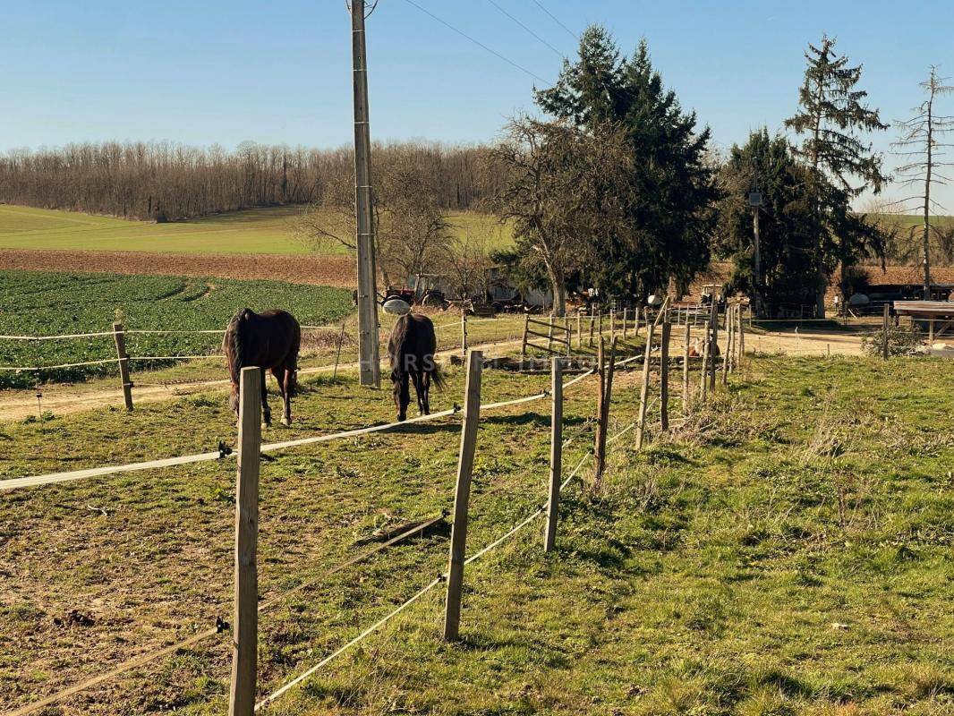 Ecurie Active à 10 kms de Sens, 1 heure de Fontainebleau