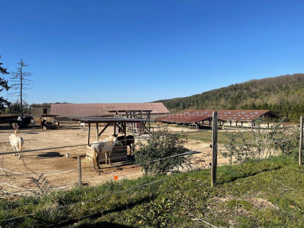 Ecurie Active à 10 kms de Sens, 1 heure de Fontainebleau