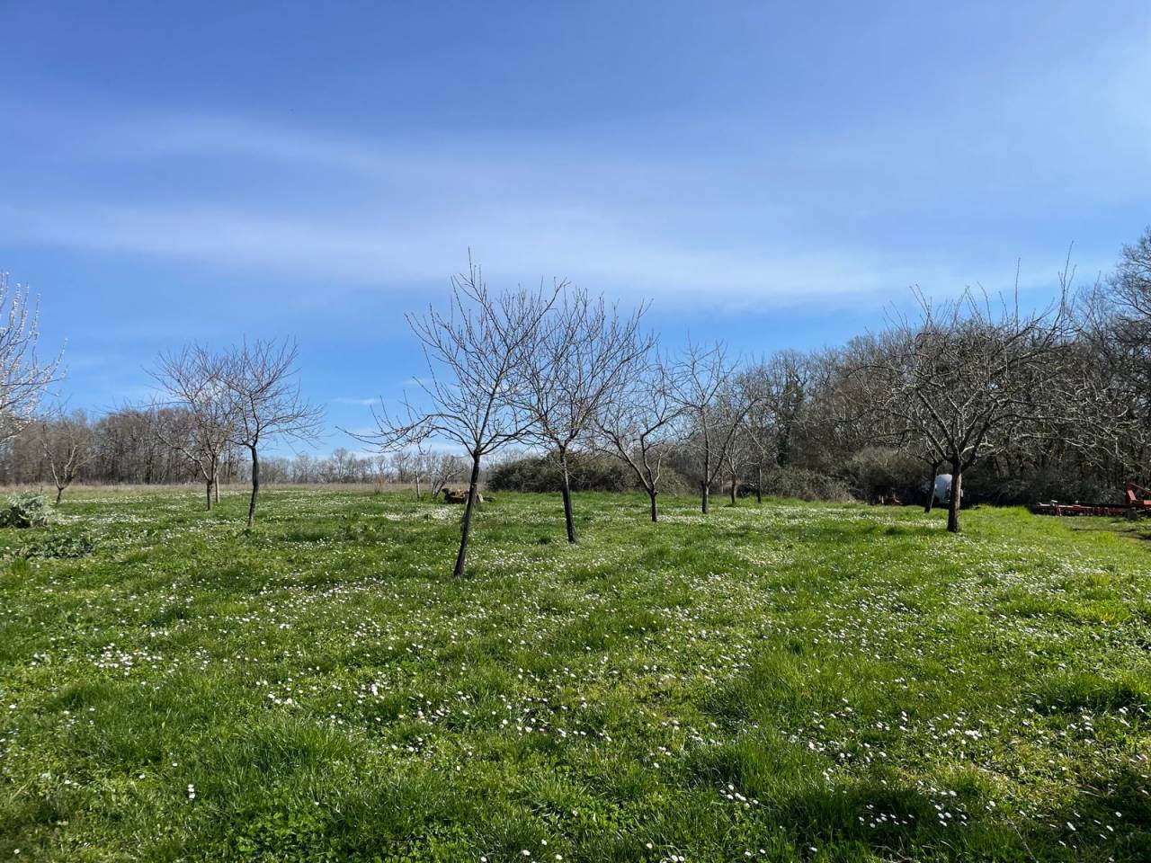 Propriété 20 ha idéale chevaux 15 mn STE FOY LA GRANDE