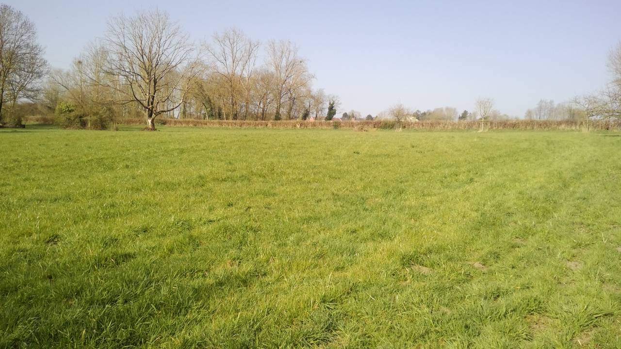 Prairie à louer 6 mois par an