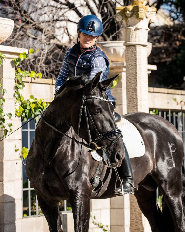 Poulain Pure Race Espagnole Noir 