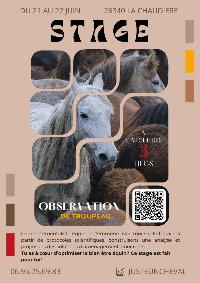 Stage d'observation de troupeau