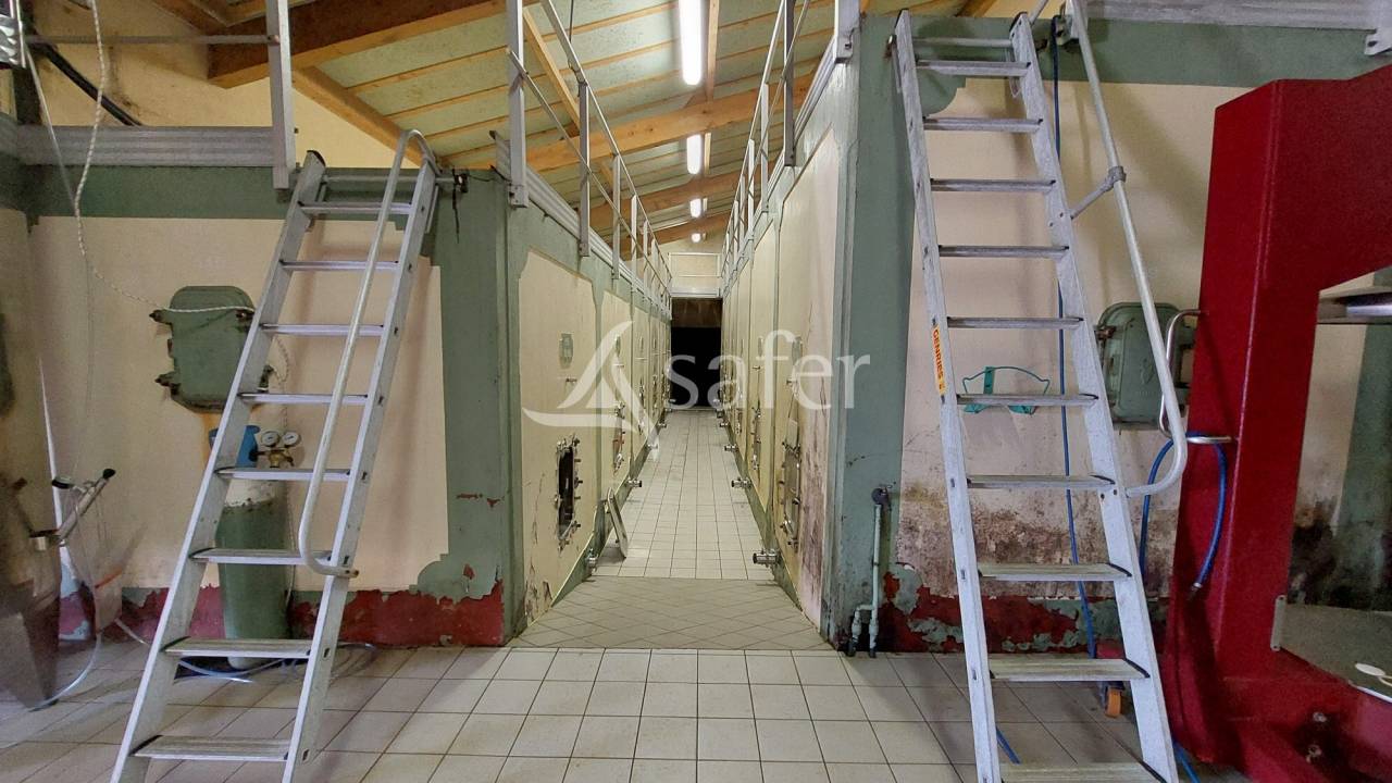 Secteur BLAYAIS - 700 m² de locaux professionnels