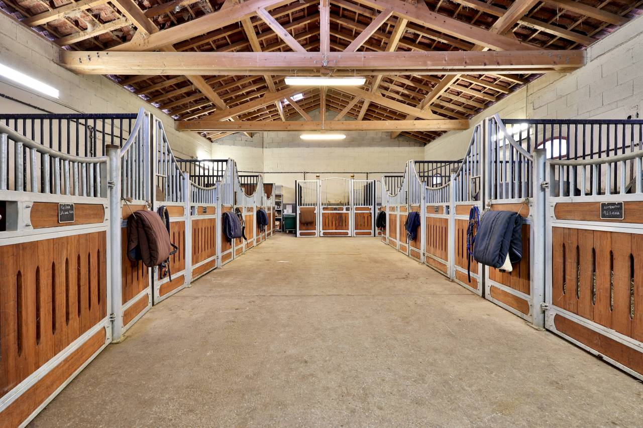 Propriété équestre de 3,5ha (01)