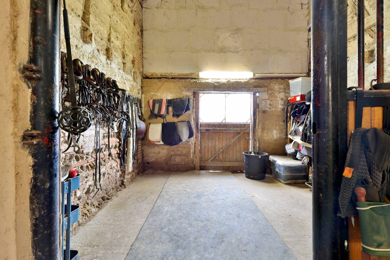 Propriété équestre de 3,5ha (01)