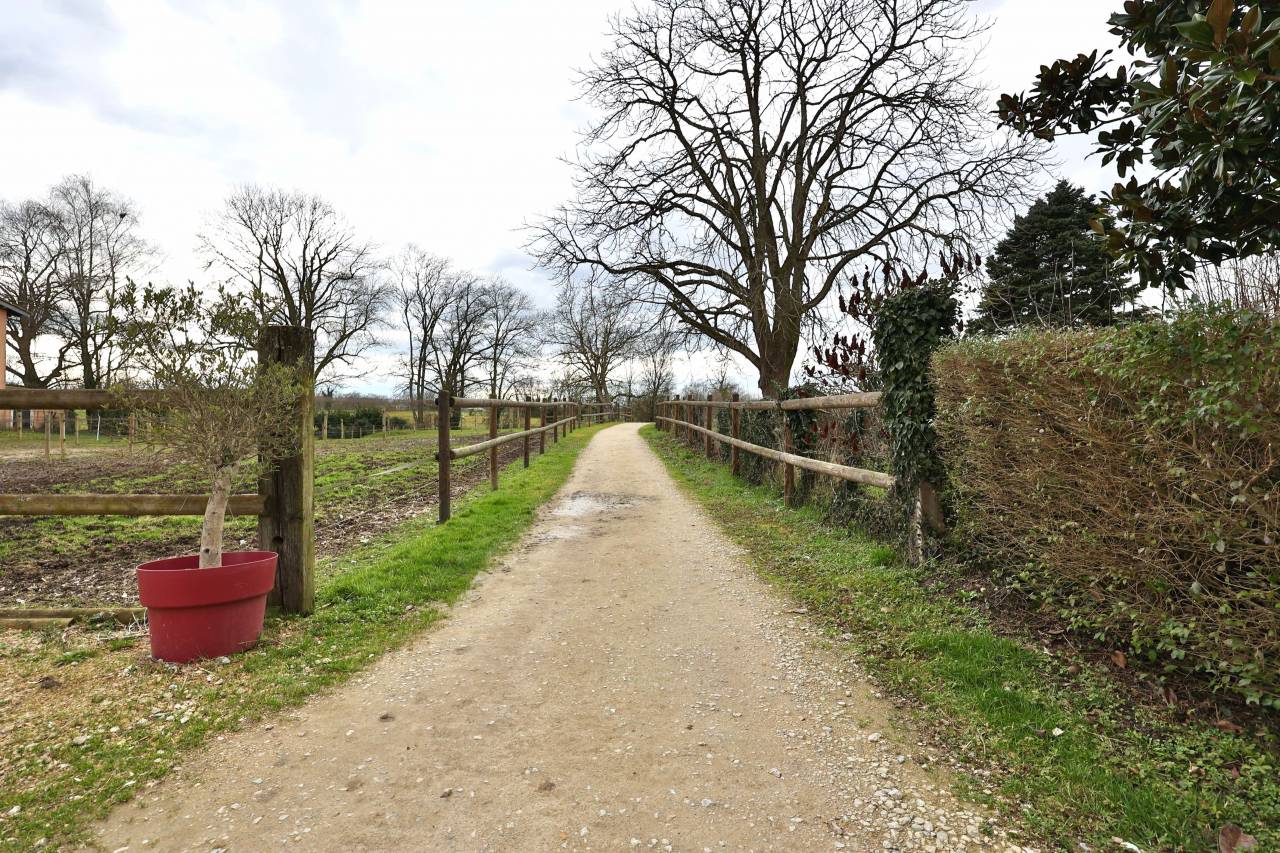 Propriété équestre de 3,5ha (01)