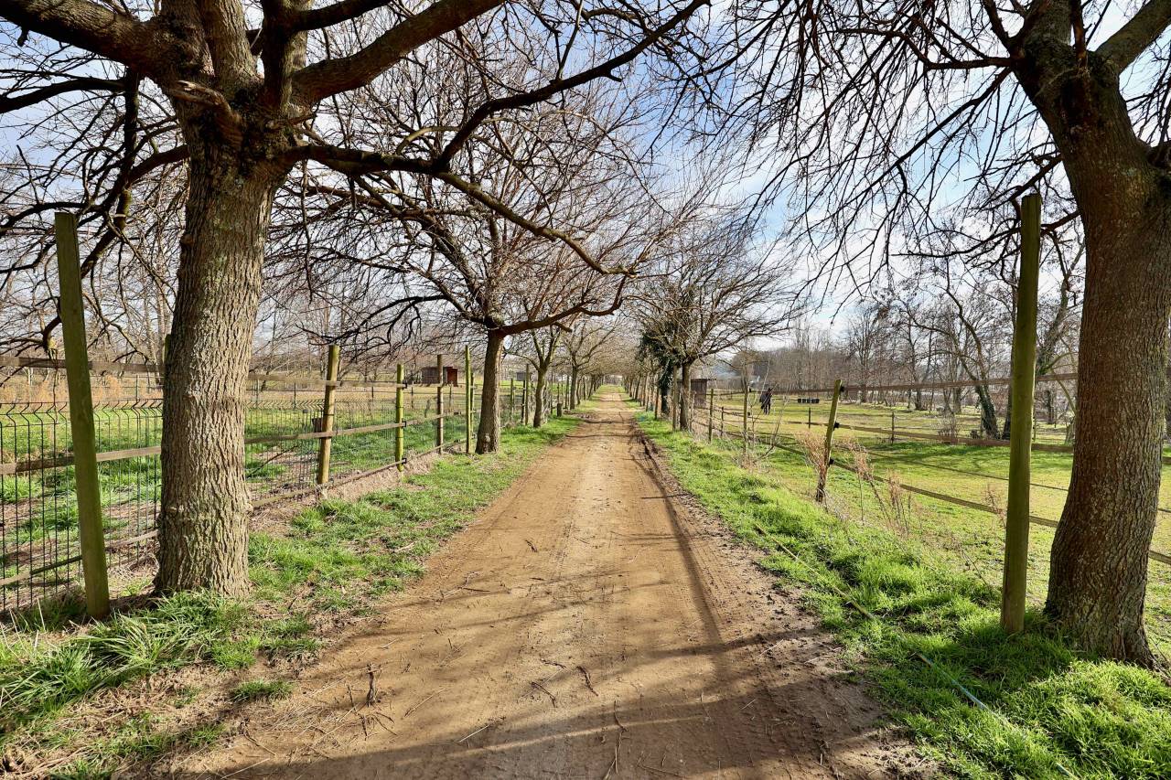 Propriété équestre de 5 ha (26)